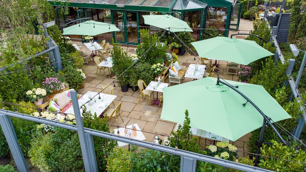 Exceptional Onion Soup