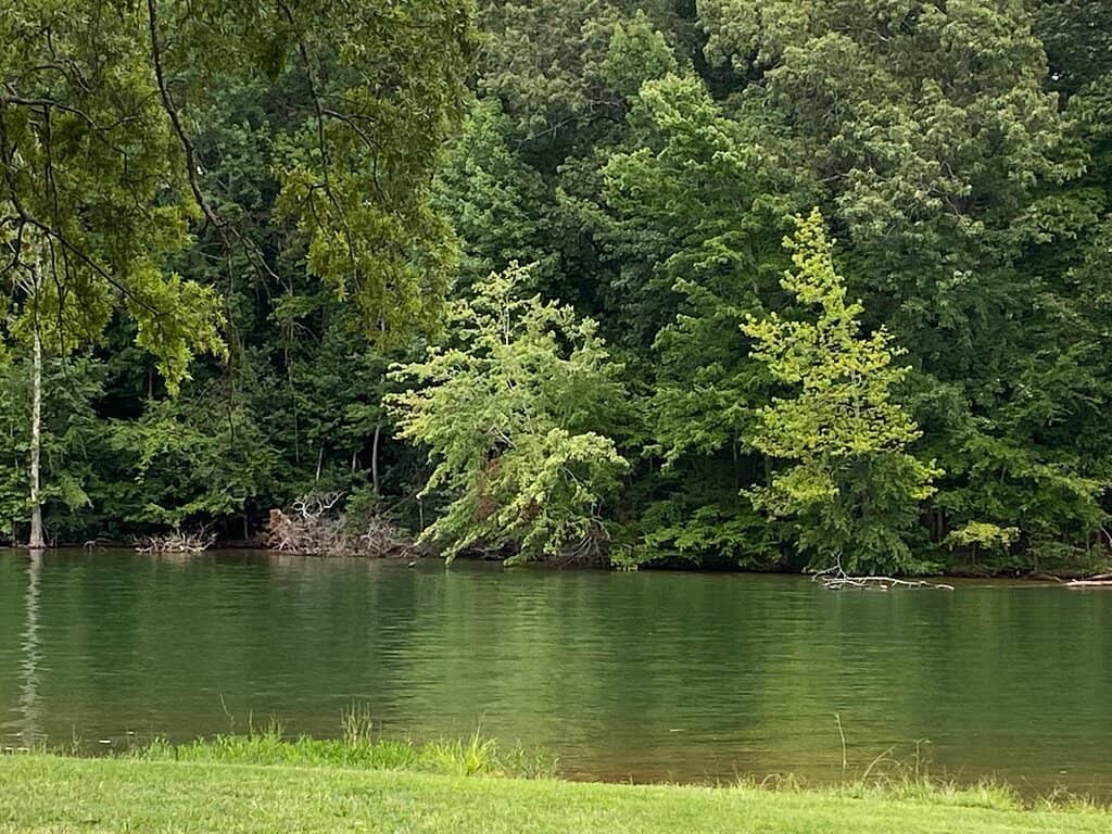 Nature Center & Wildlife