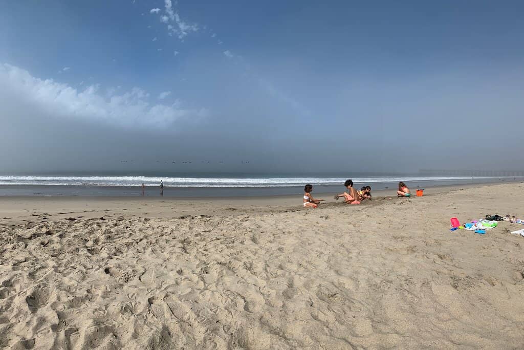 Beachcombing & Sunrise Views