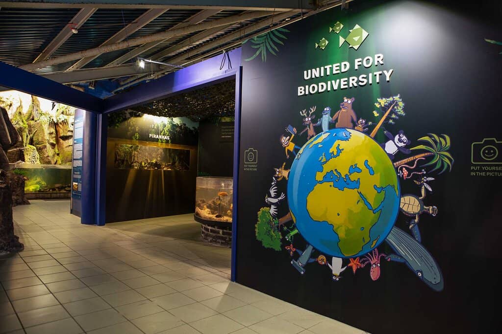 Native Irish Sealife