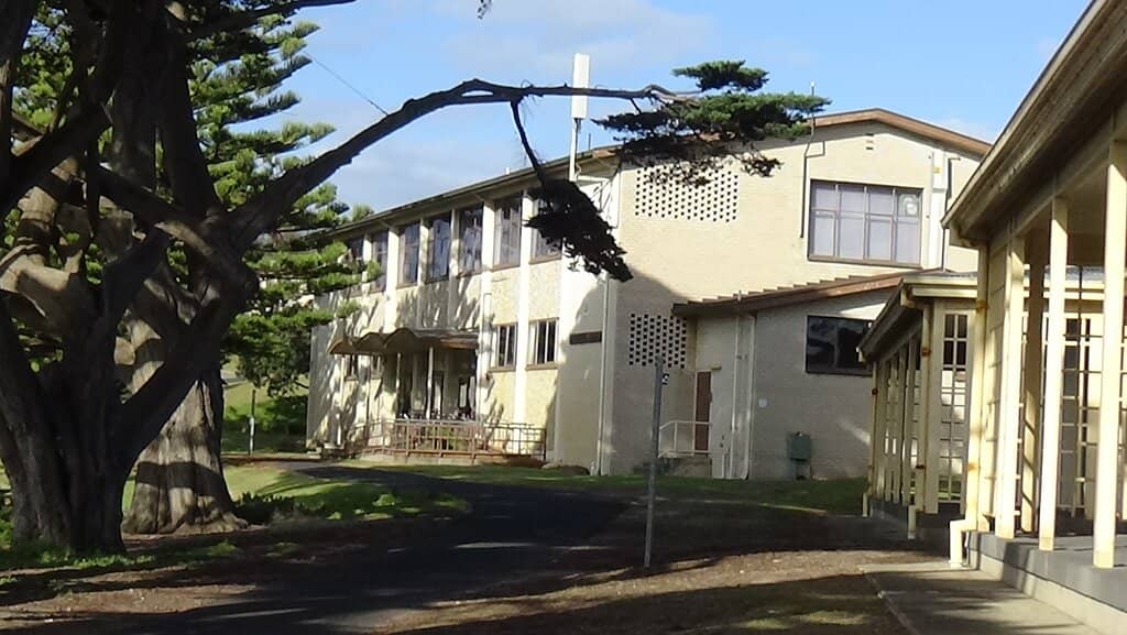 Morning Tea Experience