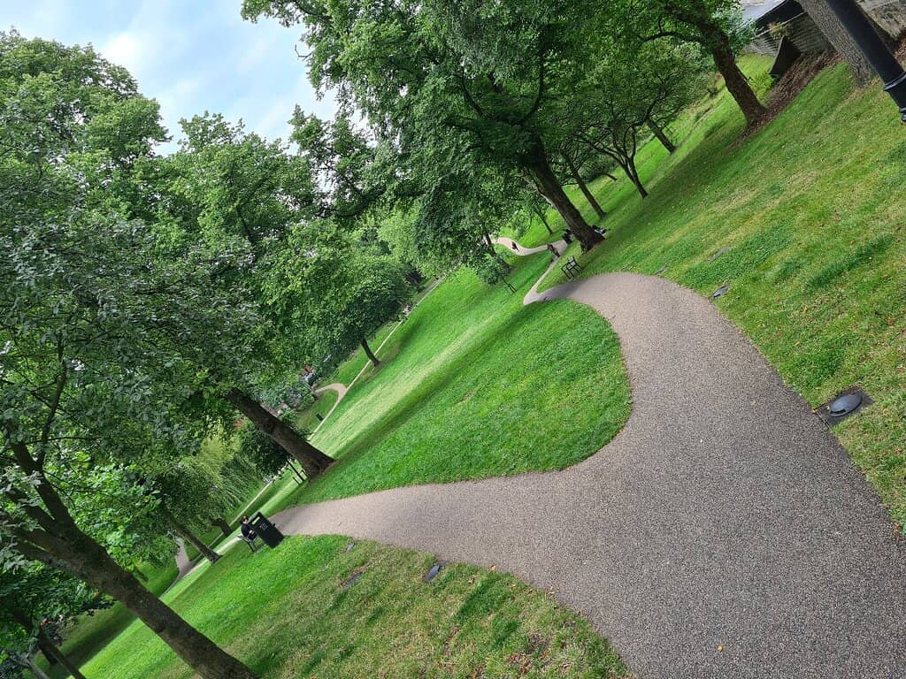 Peaceful Green Oasis