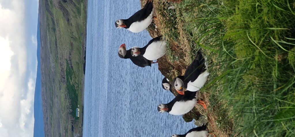 Tranquil Village Life