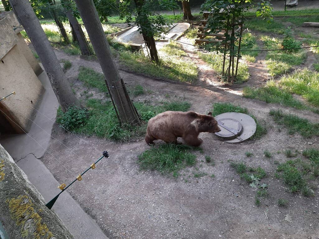 Town and Countryside Views