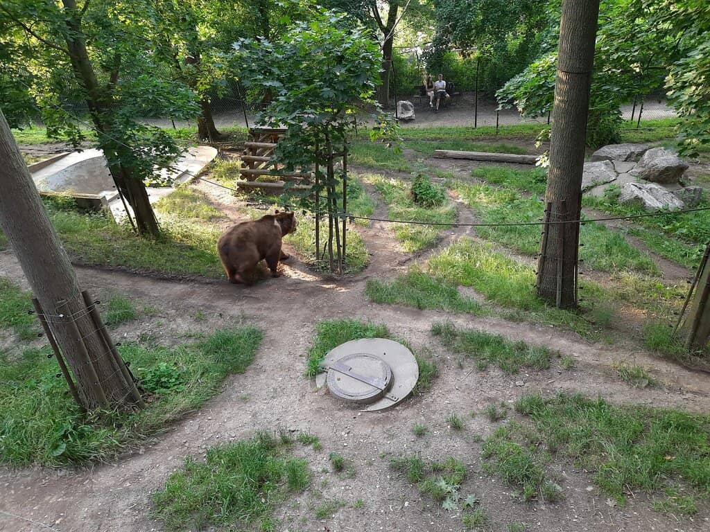 Saturday Public Feeding