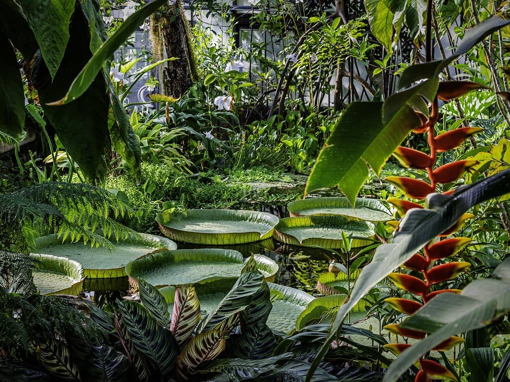 Expansive Outdoor Gardens