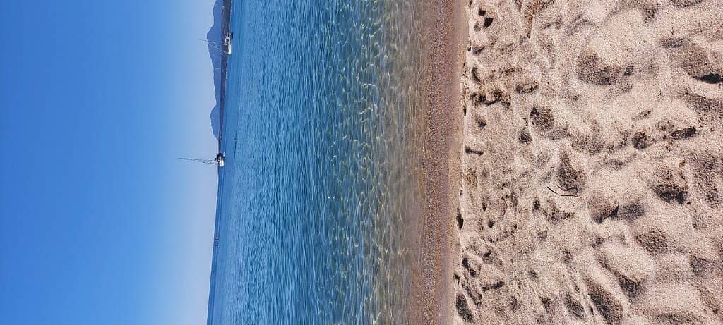 Sandy Shores