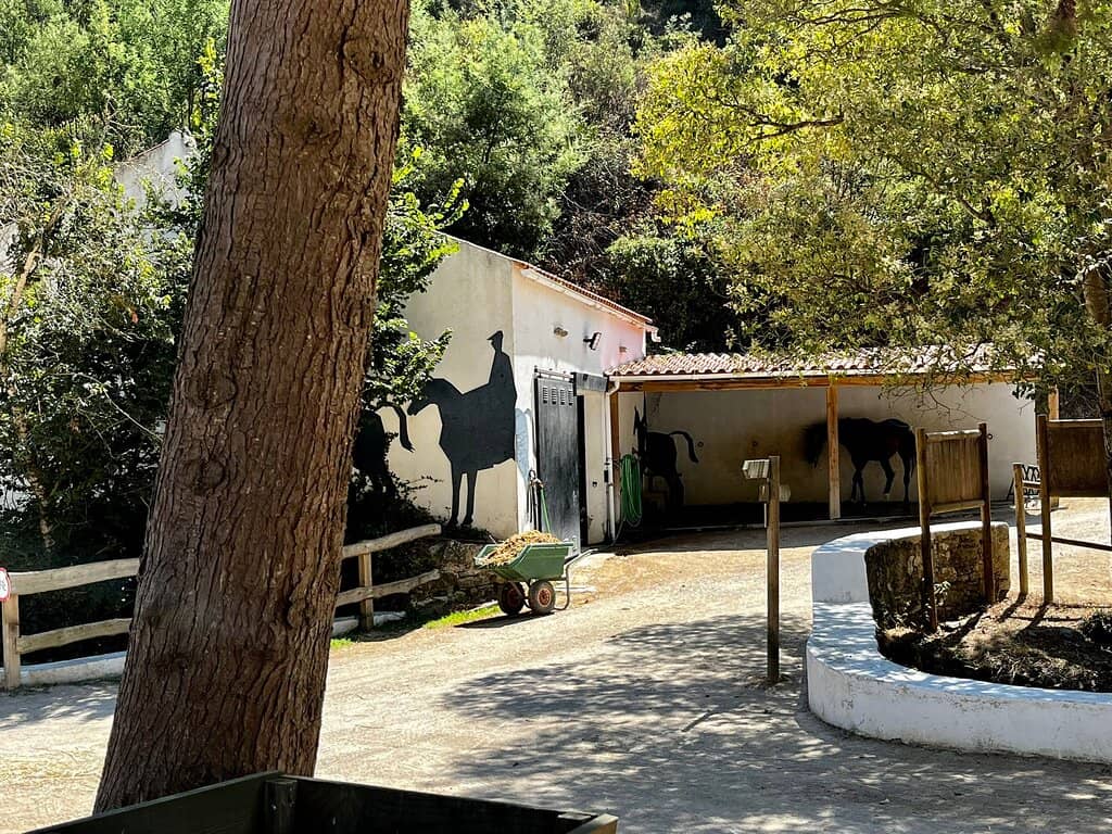 Adventure Activities