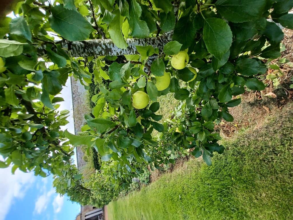 Seasonal Produce & Store