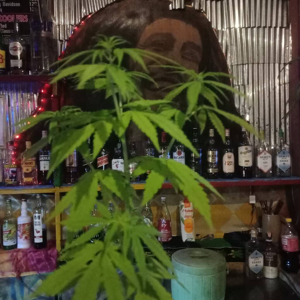 Friendly Staff & Owner