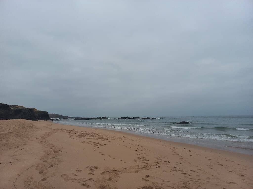 Surf and Swimming Zones