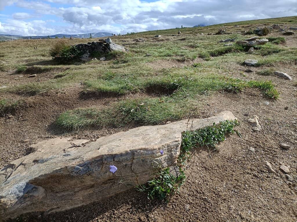 Summit Cafe Refreshments