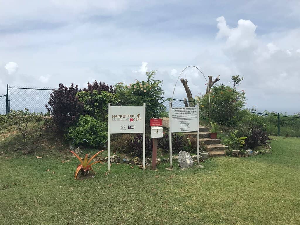 Untouched Jungle Trail