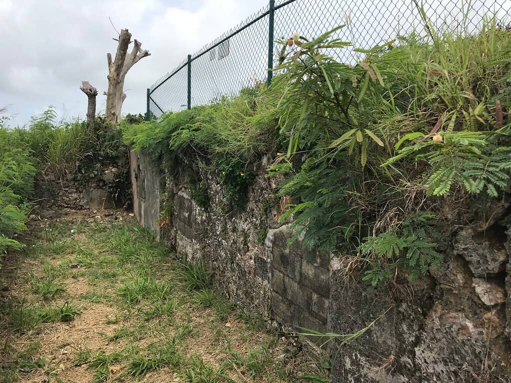 Panoramic Island Views