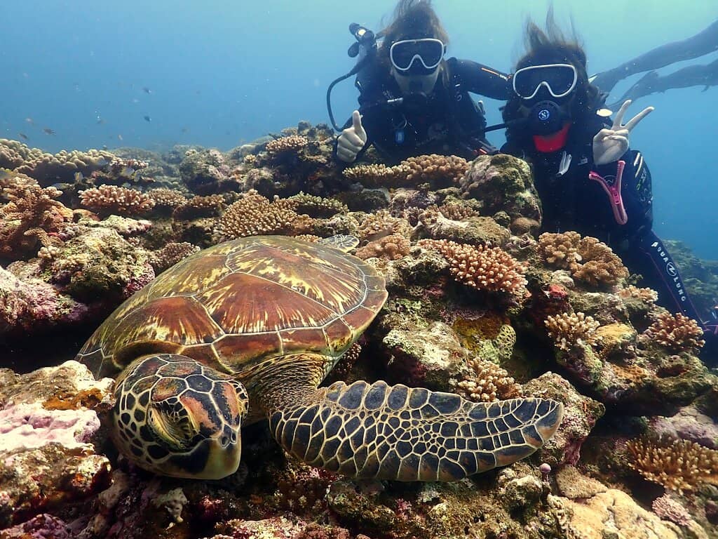 Professional and Friendly Dive Team