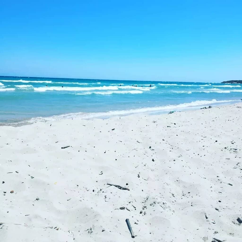 Natural Oasis Setting