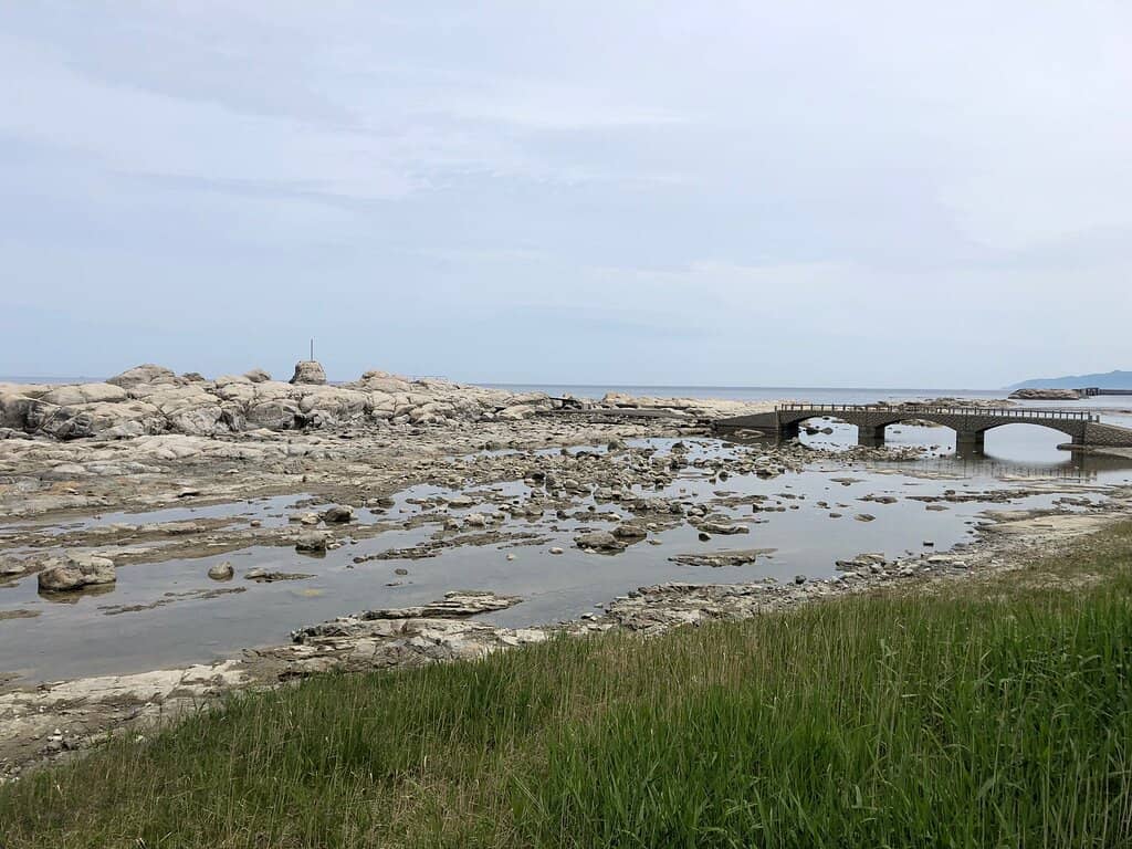 Natural Saltwater Pool