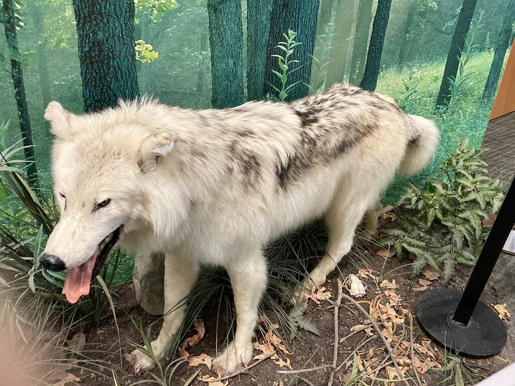 Missouri Riverfront Views