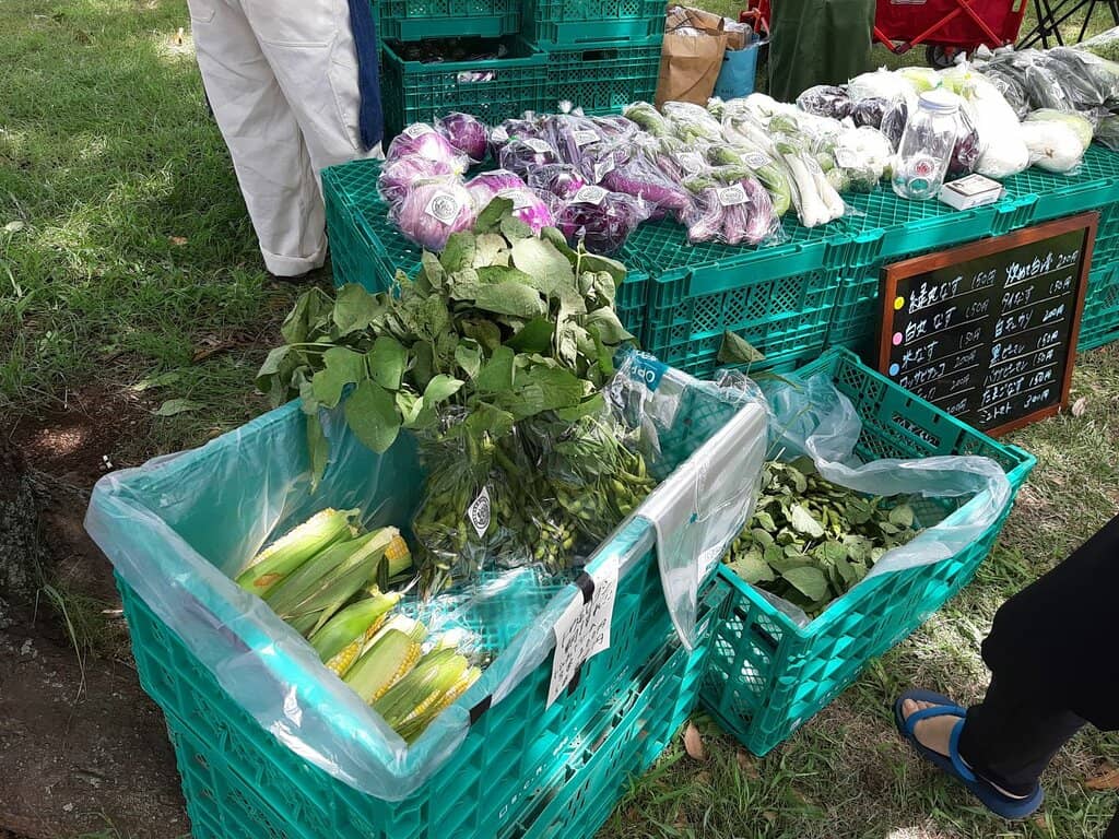 Spacious Lawns & Gardens