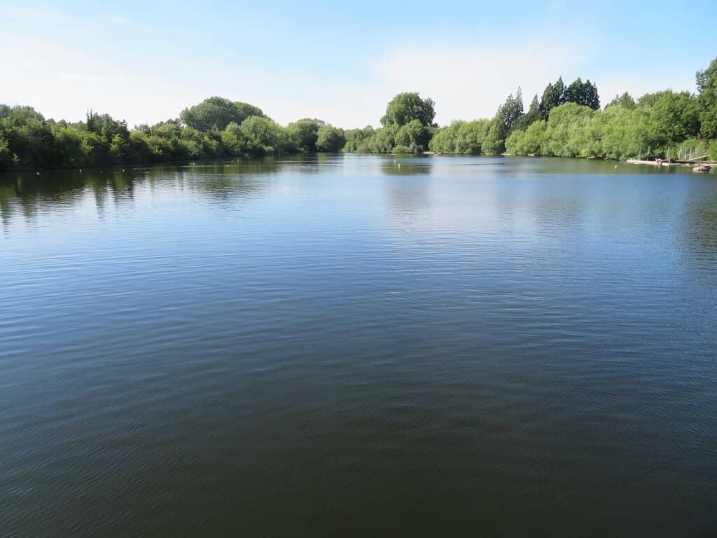 Lake and Wildlife Spotting