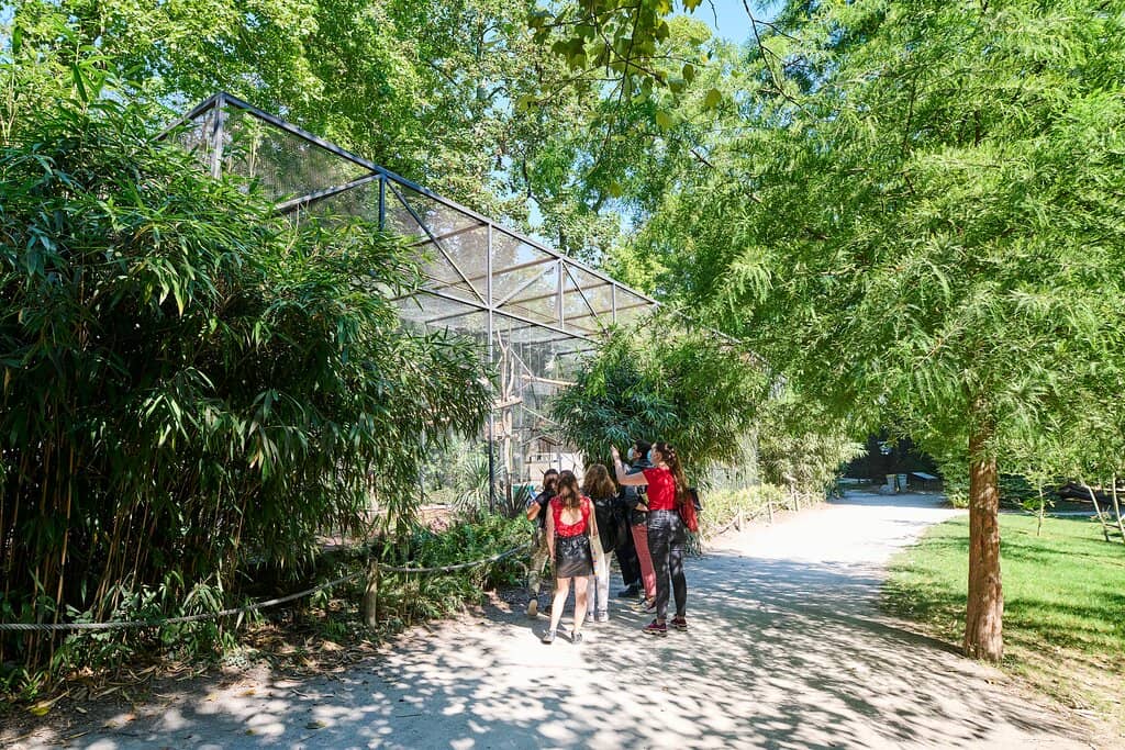 Jogging Paths