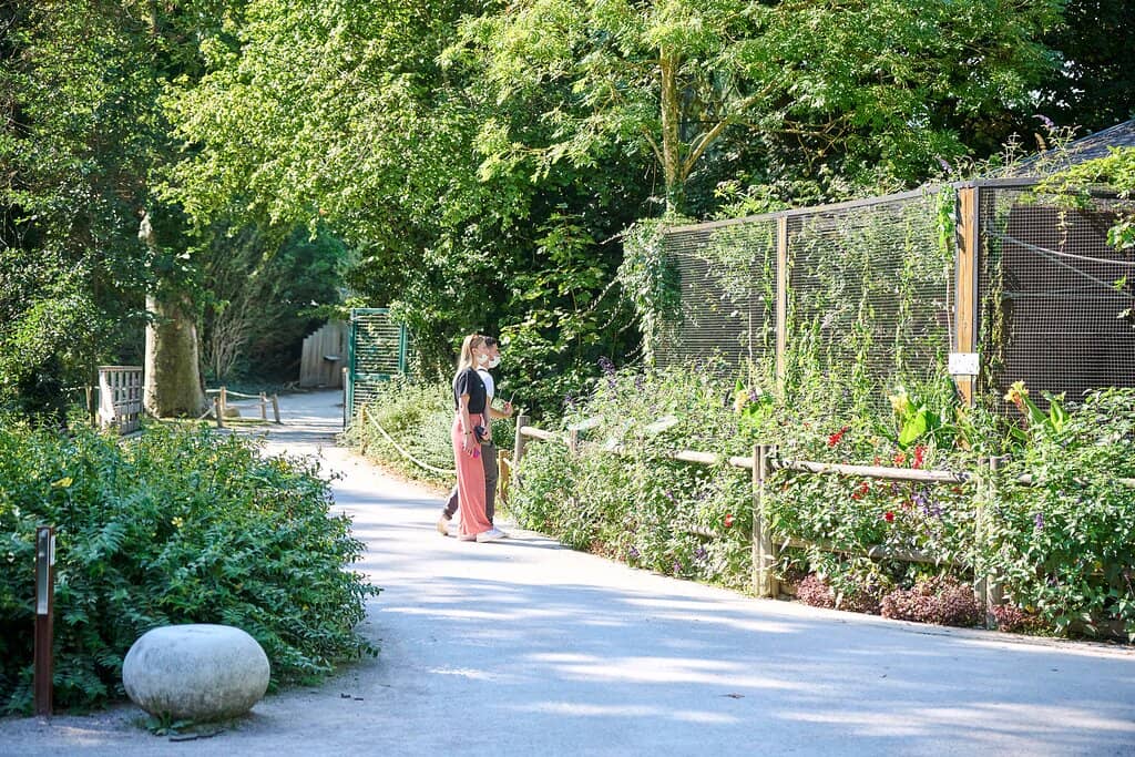 Petanque Competitions