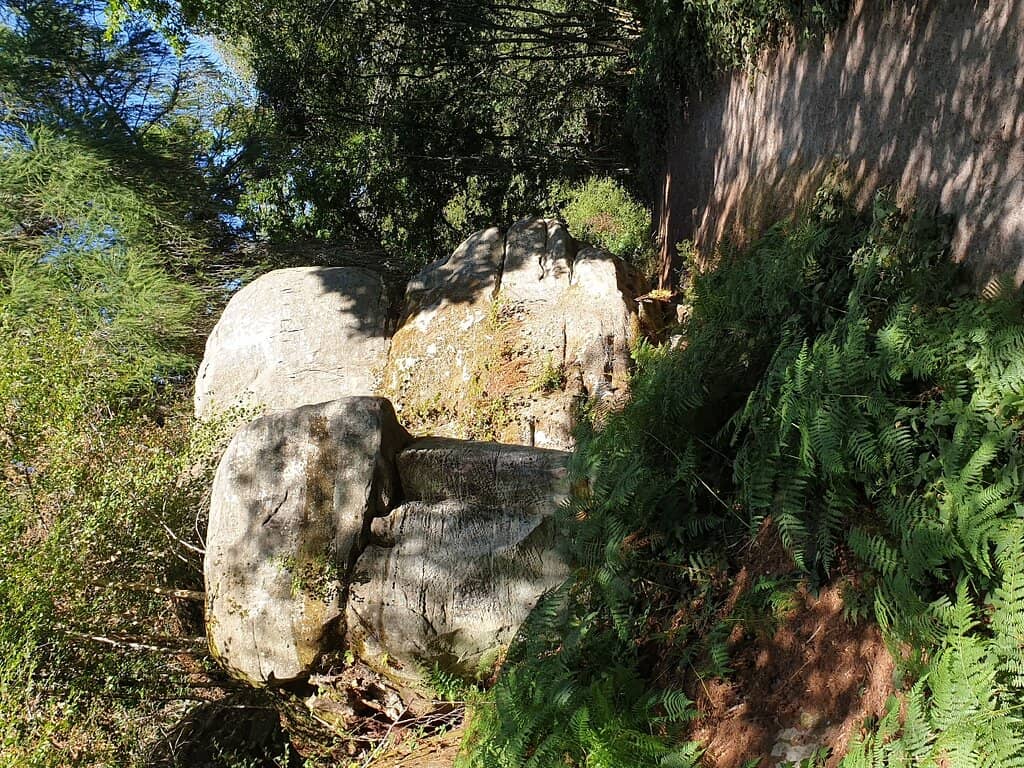 Woodland Trails