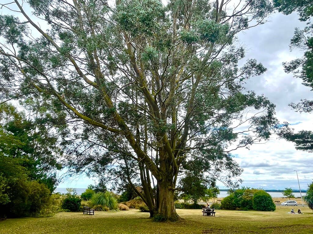 Wildlife Haven