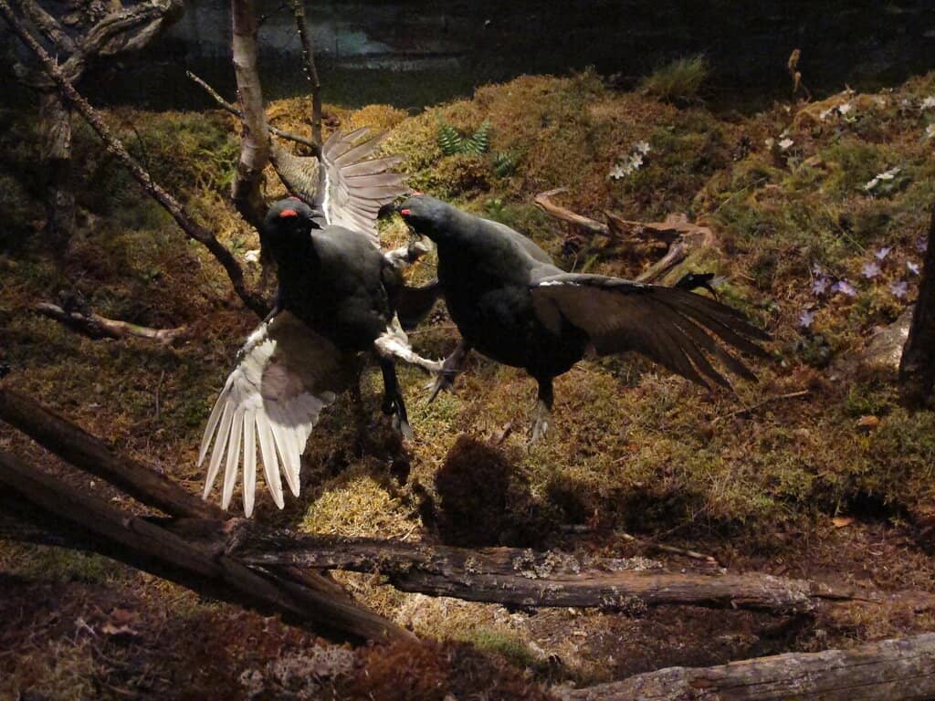 Interactive Learning Screens