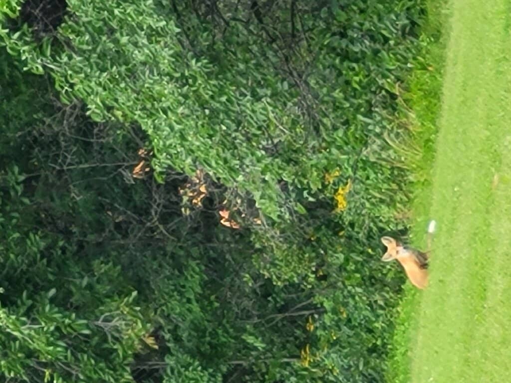 Winter Wonderland Activities