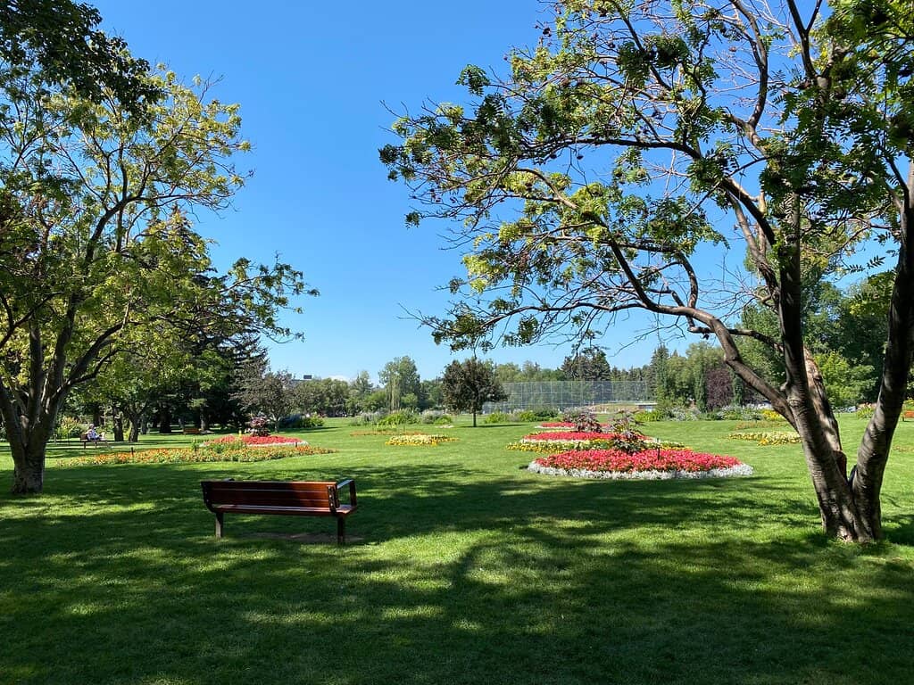 Summer Concerts & Markets