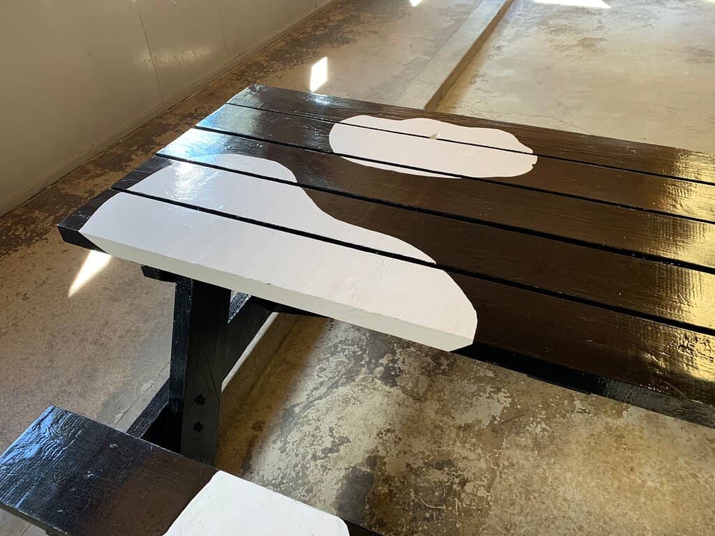 Farm Animal Encounters