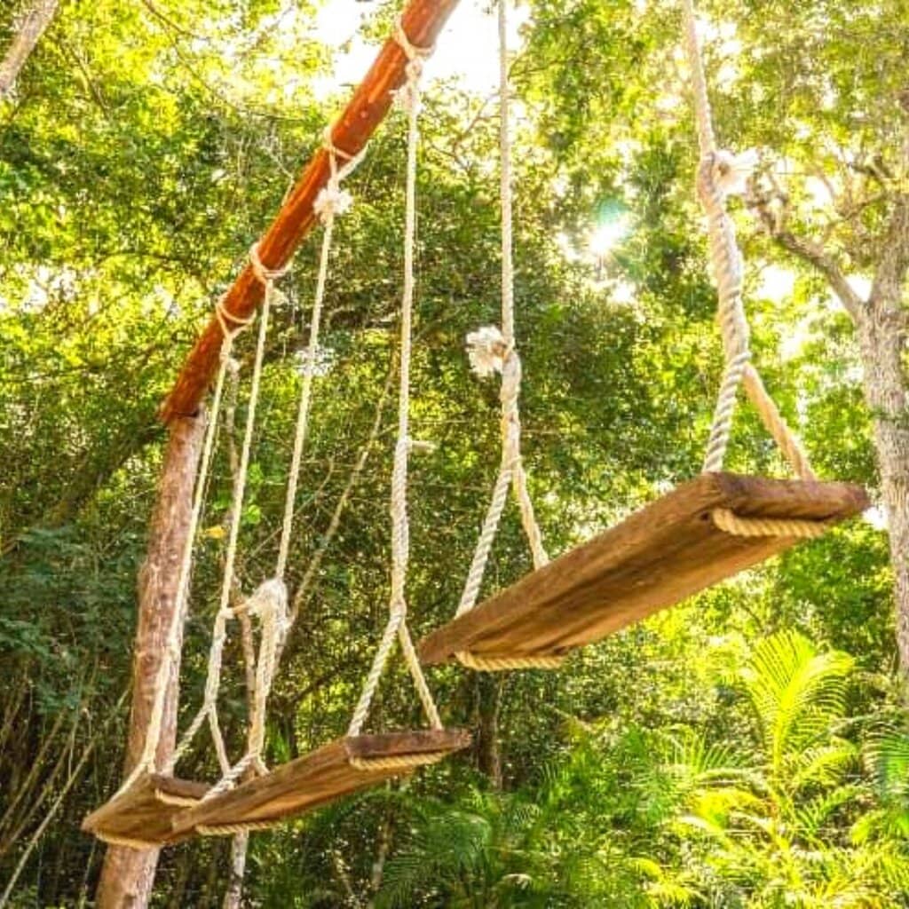 Jungle Ambiance