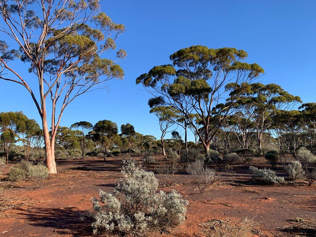 4km Walking Trail
