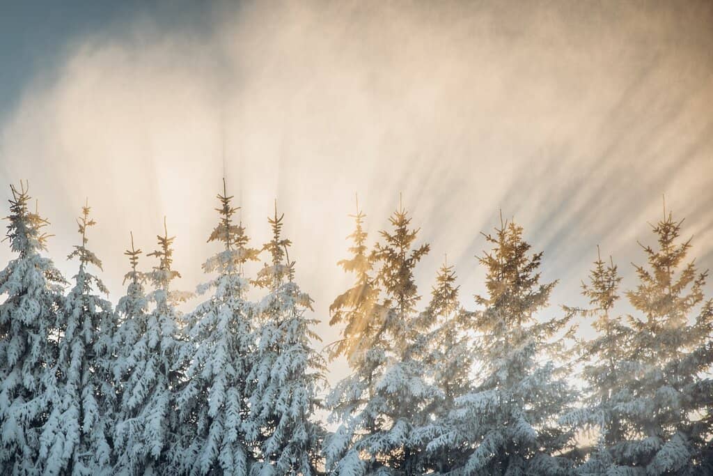 Gentle Ski Slopes for Beginners