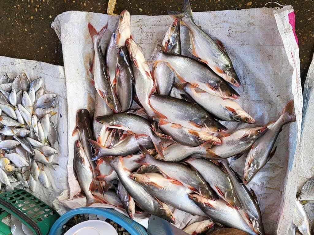 Local Handicrafts and Goods