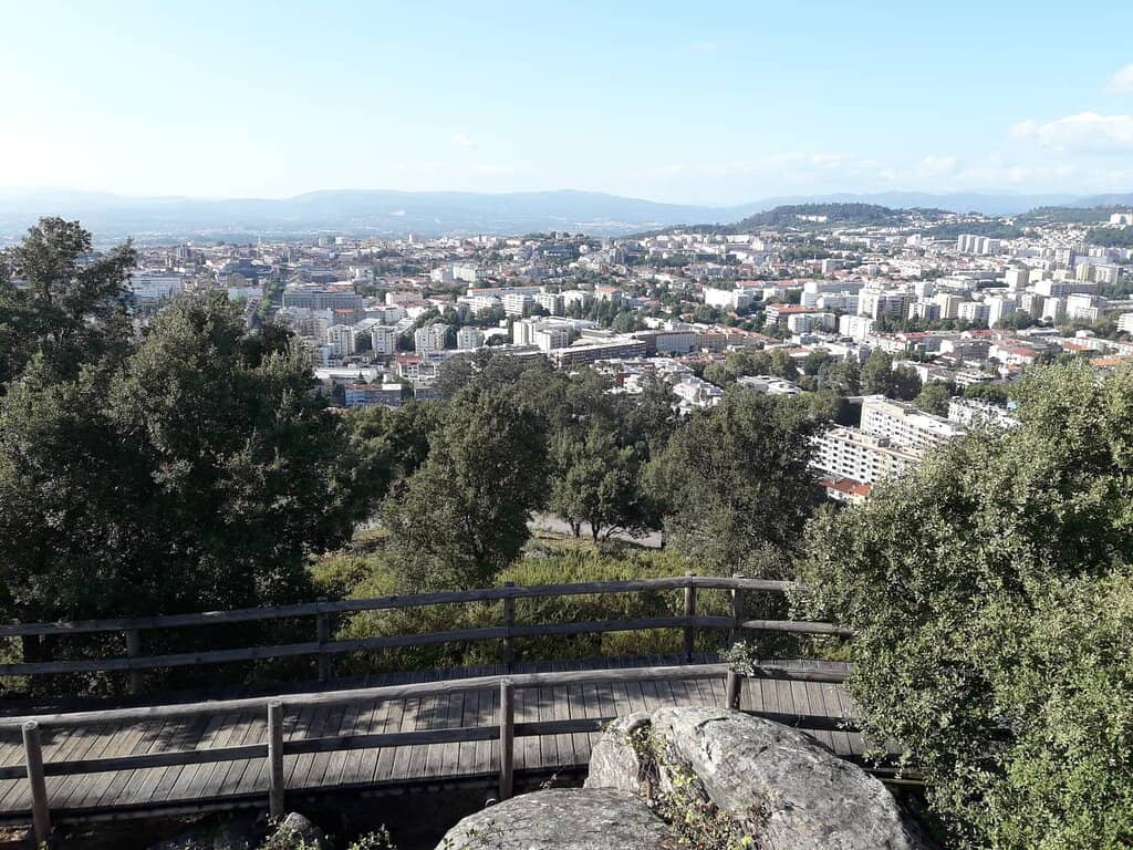 Tranquil Pond and Frogs