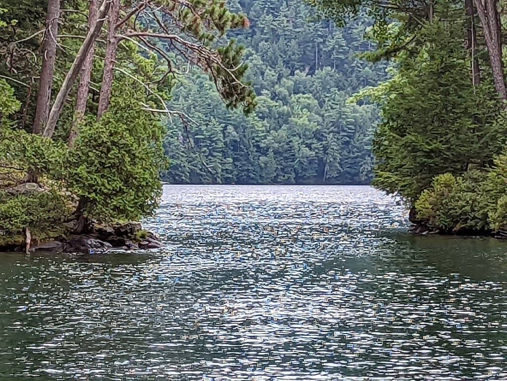 Vertical photo