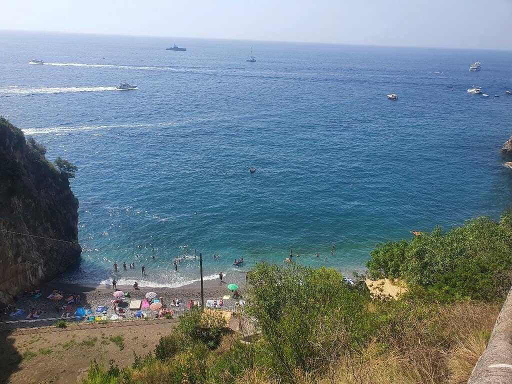 Abundant Marine Life