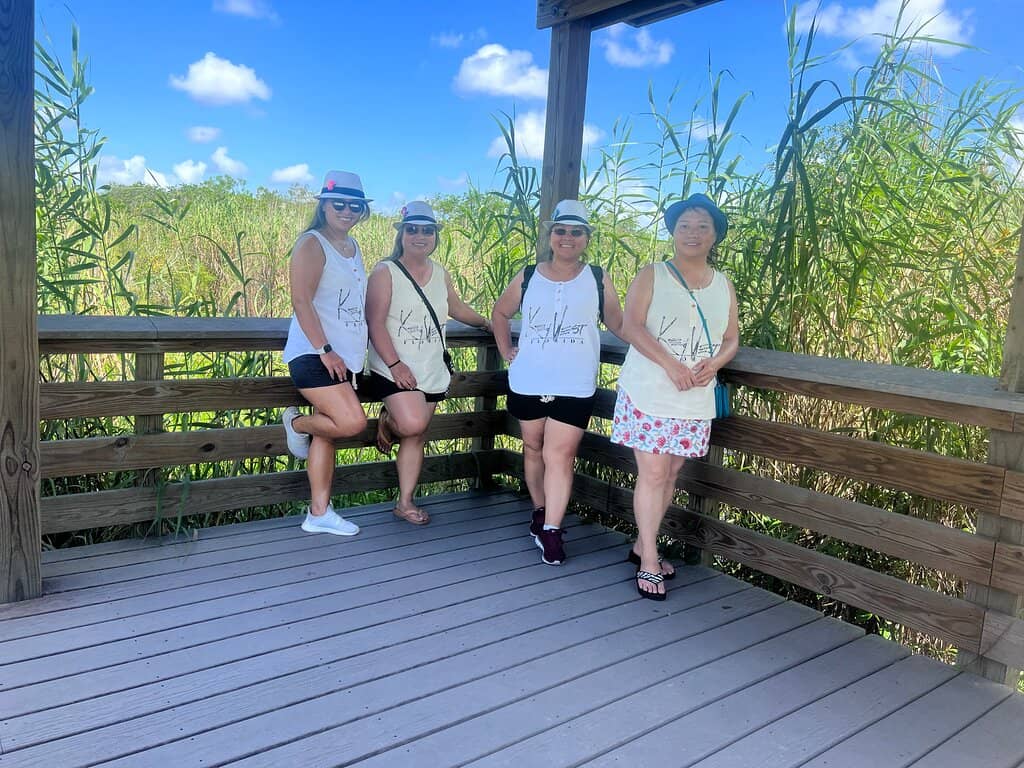 Birdwatching Haven