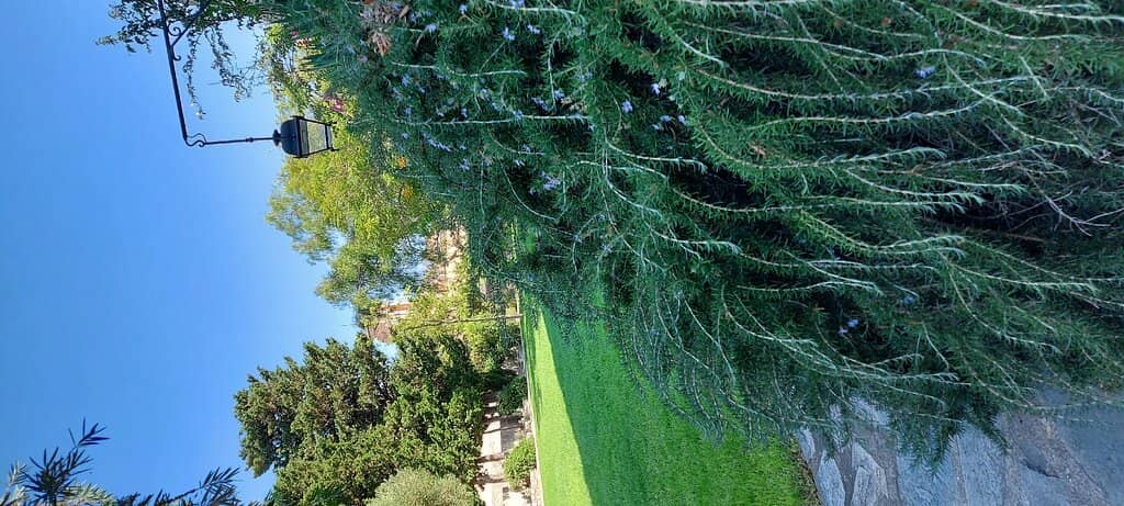 Vertical photo