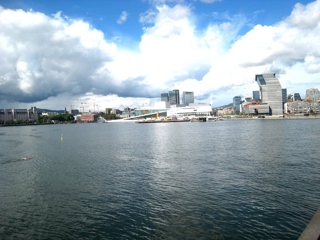 Diving Board Thrills