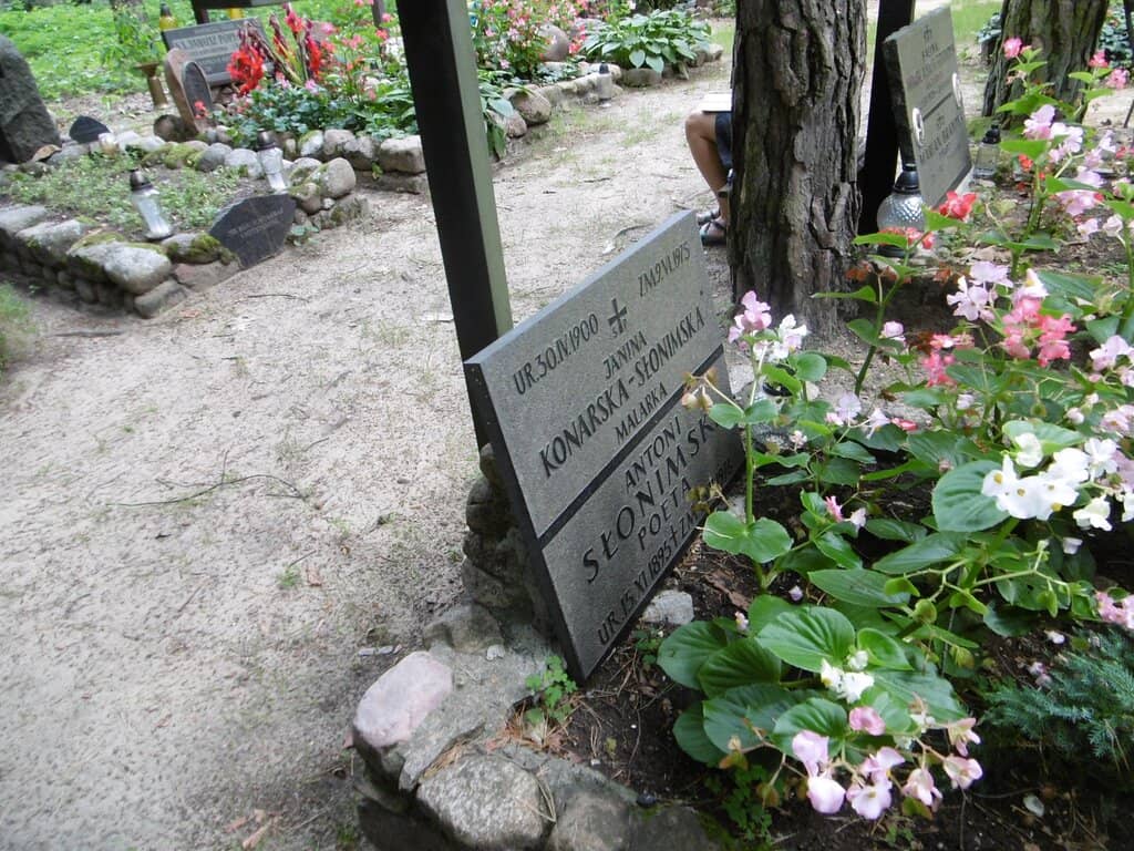 Whispering Pine Forests