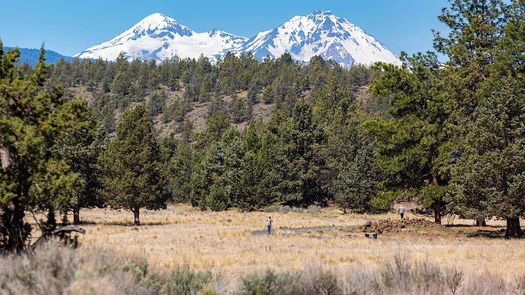 Accessible Juniper Loop Trail