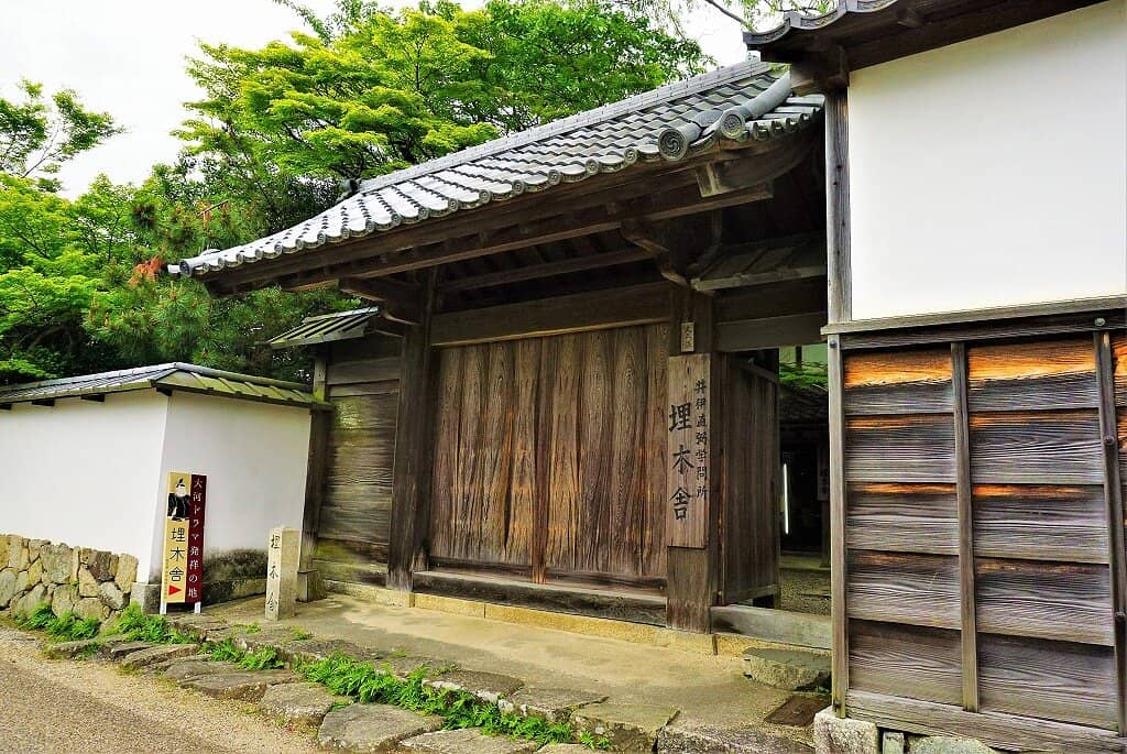 The Calming Willow Tree