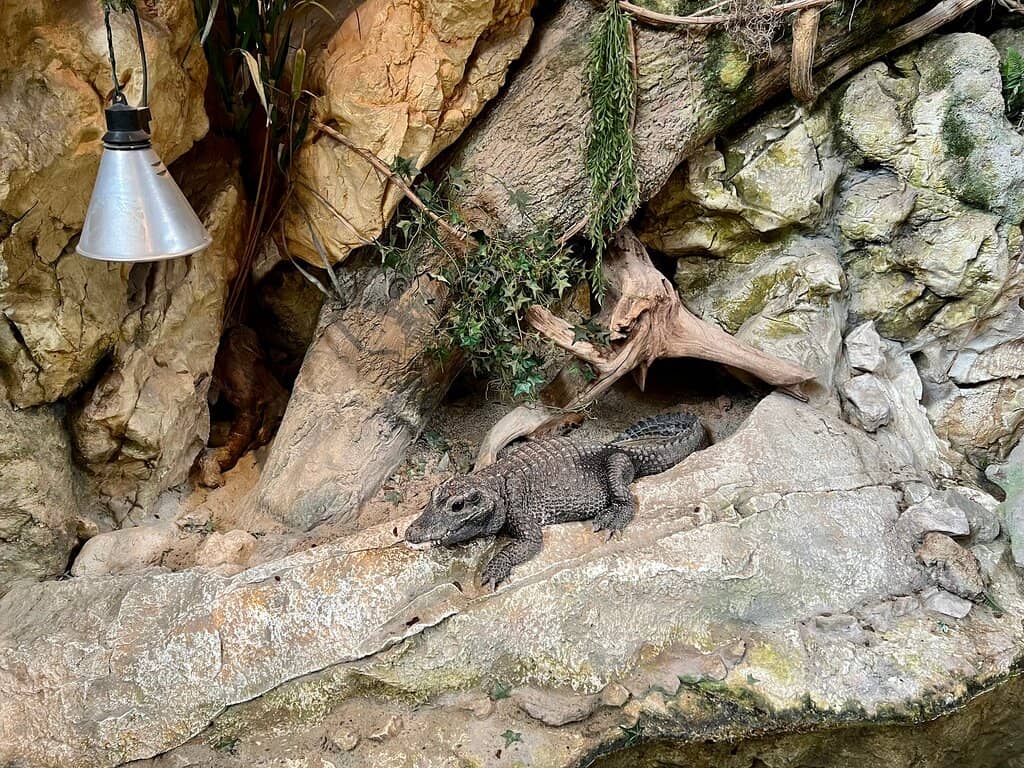 Interactive Astronomy Exhibits