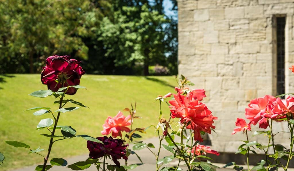 Roman Multangular Tower