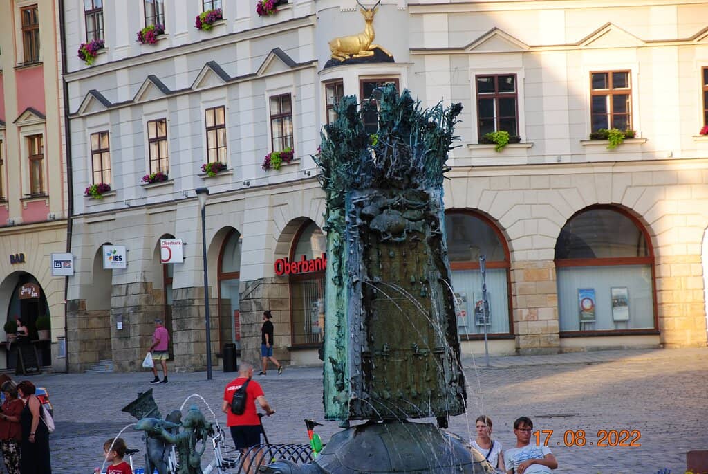 Local Meeting Point