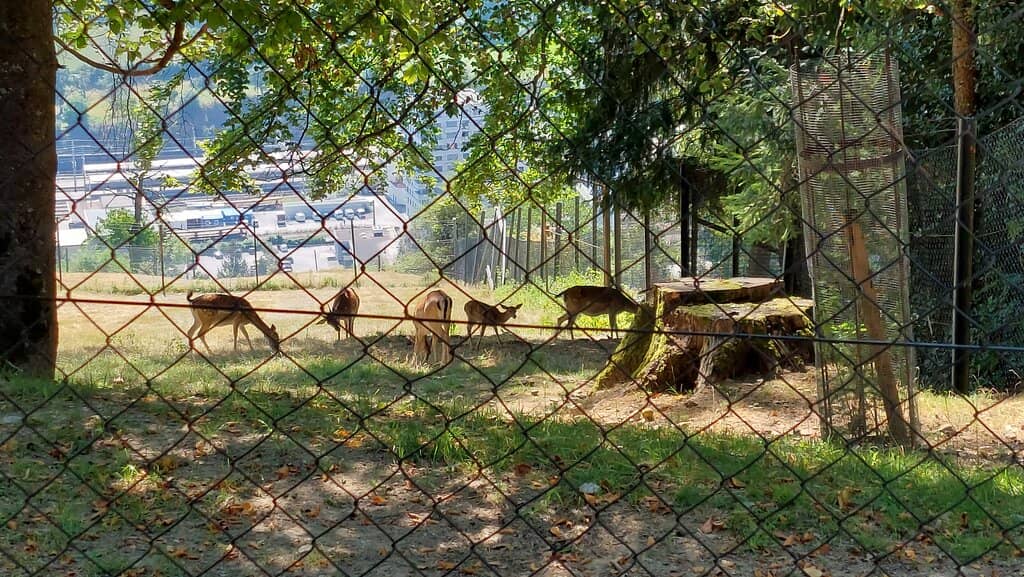 Playgrounds & Picnic Spots