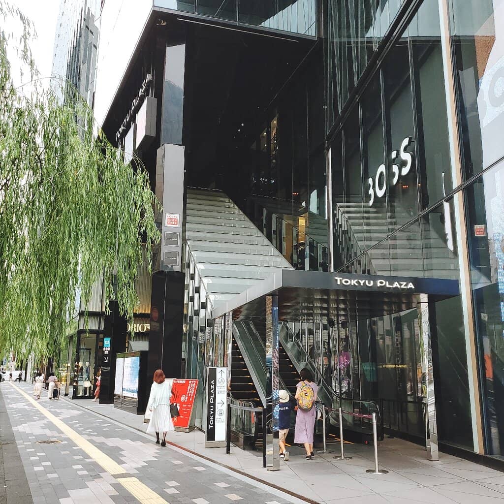 Panoramic Ginza Views